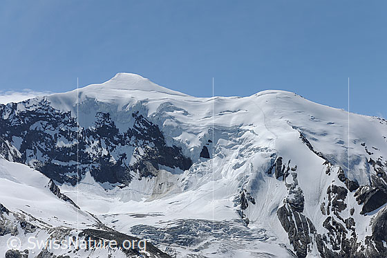 Foto: Weissmies und Triftgletscher von NW
