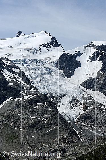 Foto: Vorder Tierbeg und Steinlimigletscher mit Gletscherzunge.
