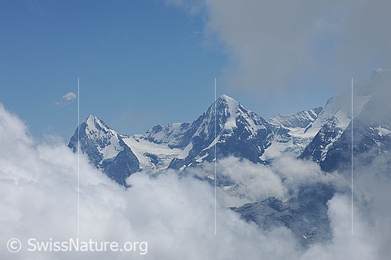 Foto: Wolkenstimmung um Eiger und Mönch. Zwischen den beiden Gipfeln sind Eigergletscher und Mittellegigrat zu sehen. 
Dichte Quellwolken beginnen sich aufzutürmen und eine Nebelschwade verhindert die Sicht auf die übrigen Alpengipfel.