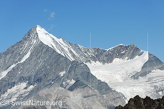 Foto: Weisshorn, Weisshornjoch und Bishorn. Von Links zieht sich der Schaligrat zum Weisshorn hoch. Rechts des Gipfels ist der Gendarm zu sehen.
Gletscher: Bisgletscher