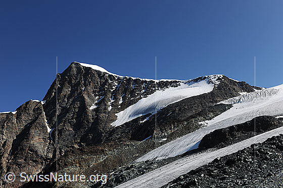 Foto: Alphubel und Alphubelgletscher.
