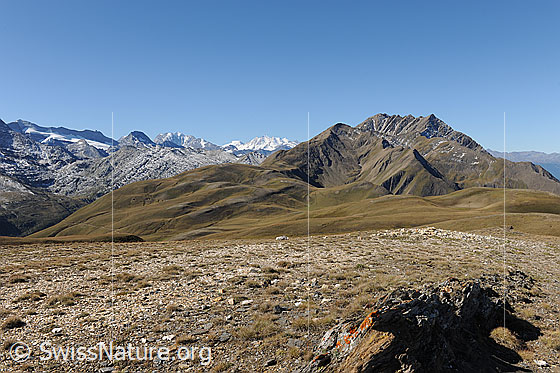 Foto: Vom Breithorn Richtung Mischabel und Bättlihorn.
Der Perimeter des östlichen Feldes von Grengiols Solar reicht bis mindestens zum herbstlich gefärbten Rücken links im Vordergrund.