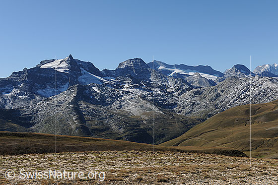 Foto: Vom Breithorn Richtung Hillehorn, Bortelhorn und Monte Leone.
Der Perimeter des östlichen Feldes von Grengiols Solar reicht bis mindestens zum herbstlich gefärbten Rücken im Vordergrund.