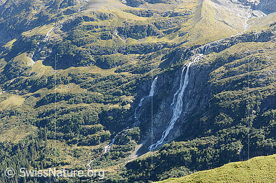 Foto: Lauterbrunnental: Tal der Wasserfälle
Links: Holdrifälle. Rechts: Talbachfäll