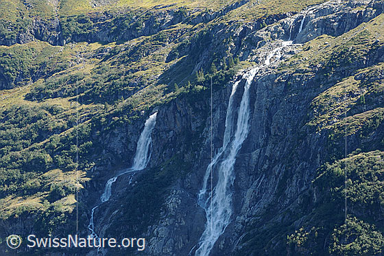 Foto: Tal der Wasserfälle: Lauterbrunnental mit Schmadribachfall
Links: Holdrifälle. Rechts: Talbachfäll