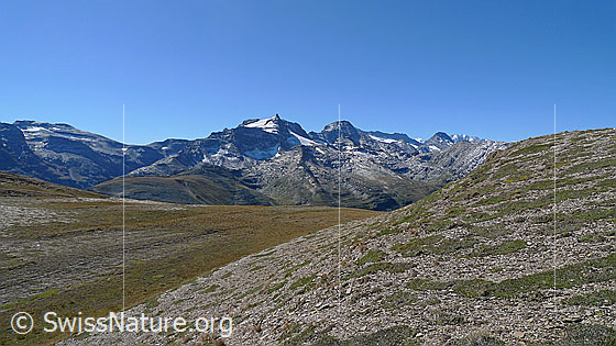 Foto: Blick vom Kamm des Breithorns Richtung Hillehorn.
Vermutlich werden auf der Fläche im Vordergrund ca. 6-8 Meter hohe Solartische des östlichen Feldes von Grengiols Solar montiert.