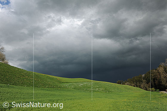 Foto: Gewitterstimmung mit drohenden Wolken am Himmel. Die Landschaft im Vordergrund mit Wiesen und Weiden ist frühlingshaft grün.
