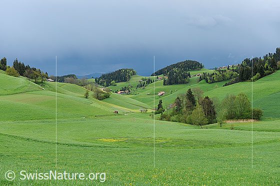 Foto: Gewitterstimmung über grüner Landschaft im Frühjahr.