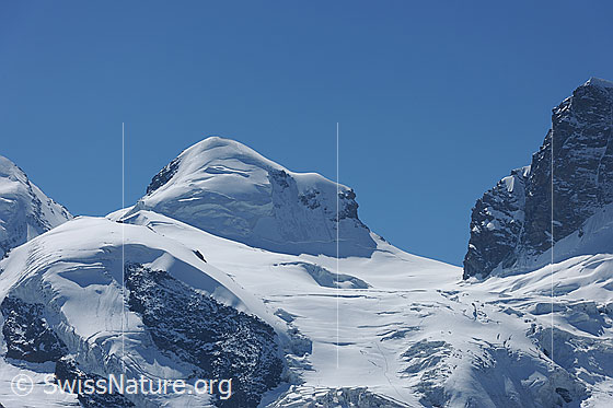 Foto: Der Viertausender Pollux von Norden. Rechts der Viertausender Roccia Nera.
Rechts davon das Schwarztor und der Schwärzegletscher.