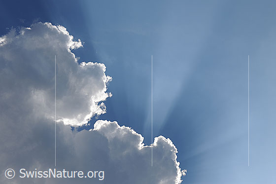 Foto: Wolkenstimmung und Sonnenstrahlen am blauen Himmel. Eine dunkle Kumuluswolke hat sich vor die Sonne geschoben und lässt nur die Lichtstrahlen durchscheinen. Der Rand der Wolke ist hell erleuchtet.