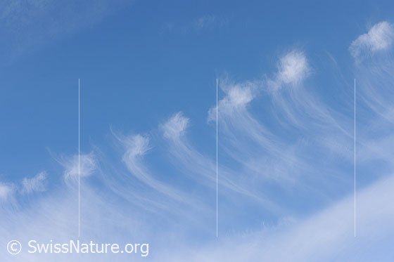 Foto: Interessantes Muster aus Federwolken am blaumen Himmel.