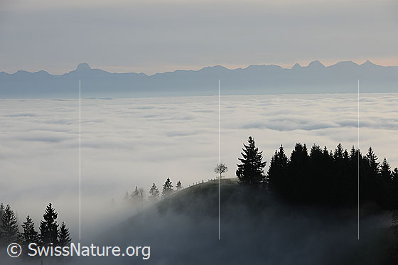 Foto: Nebelmeer und Stockhornkette.