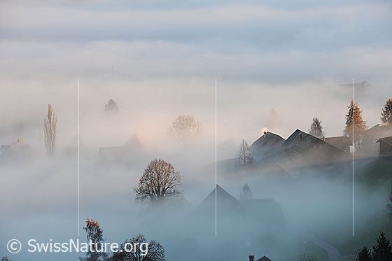 Foto: Nebelgrenze in besiedeltem Gebiet. Häuser und Bäume sind durch die Nebelschleier nur schwach erkennbar. Der Nebel verleiht der Landschaft eine geheimnisvolle Stimmung.