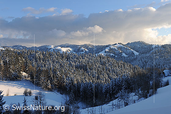 Foto: Verschneiter Wald in Hügellandschaft. Über der Winterlandschaft sind Restwolken zu sehen.