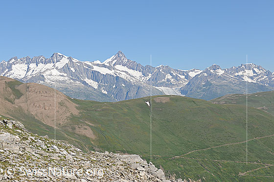 Foto: Blick über Chalti Wassre (Saflischtal) zu den Berner Alpen.
Auf die grüne Fläche ca. in der Bildmitte wird oberhalb der Alpstrasse das westliche Feld von Greniols Solar zu liegen kommen.