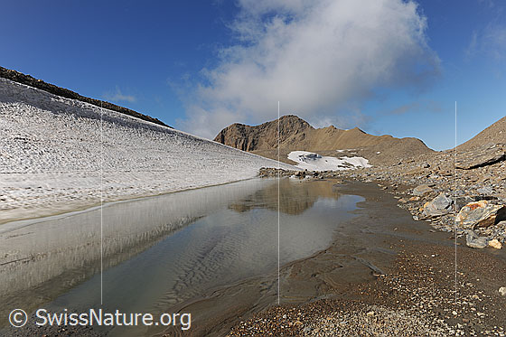 Foto: Schneefeld mit kleinem Bergsee, welcher aus Schmelzwasser entstanden ist. Im Wasser spiegelt sich die Berglandschaft.