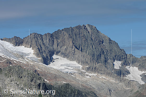 Foto: Ritzlihorn, Ärlengrätli und Ärlengletscher.
