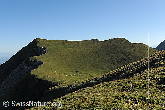 Foto: Gipfel der Bürglen (Morgeten Solar).
Die Bürglen ist ein 2165m hoher Gipfel in der Gantrischkette. Der Gipfel bietet eine ausgezeichnete Aussicht und ist auch für weniger versierte Wanderer problemlos erreichbar. 

Auf der grünen Fläche unterhalb des Gipfels, ist der Bau einer alpinen Solaranlage (Name: Morgeten Solar) geplant. Das Gebiet ist weitgehend unberührt und wird seit mehreren hundert Jahren ausschliesslich für die Sömmerung von Rindern genutzt.
