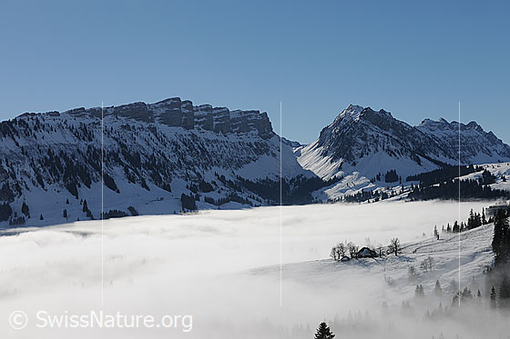 Foto: Sieben Hengste und Nebelmeer. Rechts der Sieben Hengste ist die Sichel und der Sigriswilergrat zu sehen.