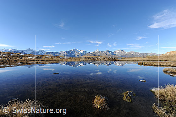 Foto: Spiegelung der Berner Alpen in Bergsee. Am Himmel sind ein paar Schleierwolken zu sehen.