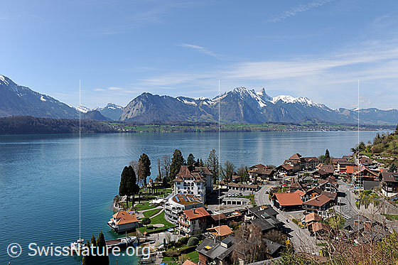Foto: Gunten, Stockhorn und Thunersee.