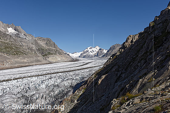 Foto: Gletscherlandschaft Grosser Aletschgletscher. Blick von Platta Richtung Konkordiaplatz.
