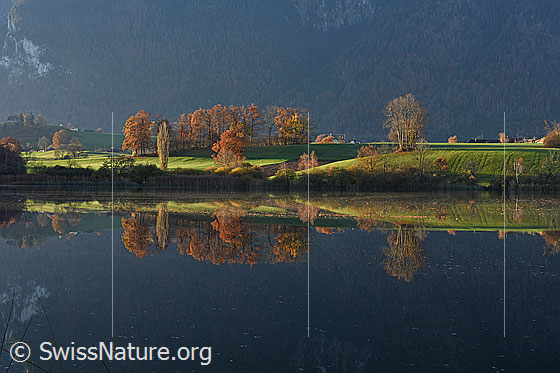 Foto: Spiegelung einer Herbstlandschaft im Übeschisee.