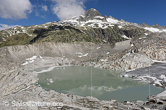 Foto: Seitenmoräne und Gletschersee am Rhonegletscher. Die Gärstenhörner spiegeln sich im ruhigen Wasser des Rottensee. Die Gletscherzunge mündet direkt in den See.

