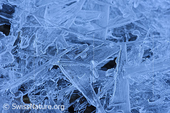 Foto: Nahaufnahme strukturiertes Eis.