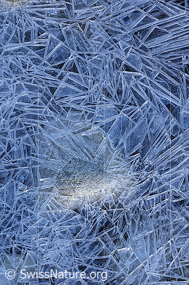 Foto: Formenreiche Eisoberfläche.
An einem kalten Wintermorgen entdeckten wir in einem Bachbett Eiskristalle und Strukturen mit den unterschiedlichsten Formen und Anordnungen.