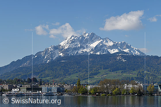 Foto: Pilatus, Luzern und Luzerner Seebecken.