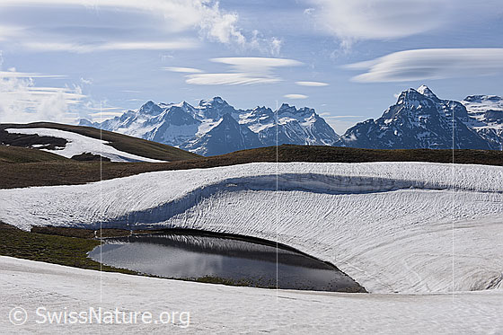 Foto: Berglandschaft mit kleinem Bergsee. Am Ufer liegt noch etwas Schnee und eine Wächte fügt sich geschwungen in die liebliche Landschaft ein. Sie spiegelt sich im Wasser. Durch die geschwungenen Schneeränder wurde der unscheinbare See für uns zum Blickfang. Über den Bergspitzen im Hintergrund sind lockere Föhnwolken zu sehen.