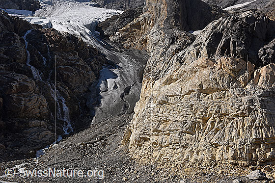 Foto: Zunge des Wetterlückengletschers und heller, geschichteter Fels. Beim hellen Fels handelt es sich um Rötidolomit (Sedimentgestein).
