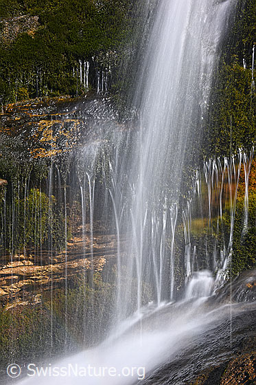 Foto: Quellwasser