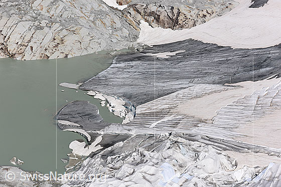Foto: Rhonegletscher: Proglazialer See, Gletscherzunge und Abdeckungen (Stand 7.2019). Die Gletscherzunge weist eine spezielle Einbuchtung auf.

