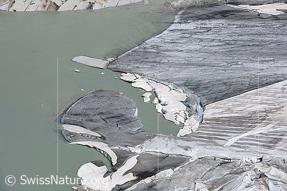 Foto: Rhonegletscher: Gletscherzunge mit spezieller Einbuchtung. Stand 5.7.2019. Rechts ist die Abdeckung zu sehen, welche das Abschmelzen des Gletschers im Bereich der Eisgrotte verlangsamt. Die Gletscherzunge mündet in den proglazialen See.


