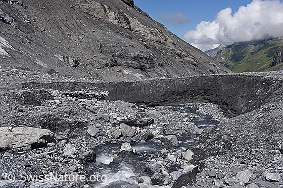 Foto: Westlicher Erosionsgraben im Vorfeld des Gamchigletschers.
