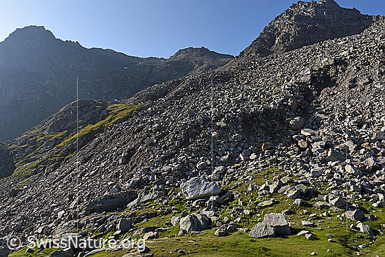 Foto: Front eines Blockgletschers. Höhe des Aufnahmeorts: ca. 2400m ü.M.
