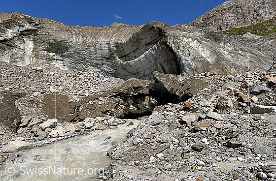 Foto: Nördliches Gletschertor am Unteraargletscher (Stand 7.2020).
Die Front des Einsturztrichters 2018/2019 hat sich weiter nach Westen verschoben. Am Fuss der Eiswand fliesst nun aus einem Gletschertor eine beachtliche Menge Wasser. Ein Teil des Wassers stammt vom Triftbach, welcher wenig weiter westlich von der Seite in den Unteraargletscher fliesst. Das Wasser war zu Beginn wire auf dem Foto gefärbt, ein paar Minuten später wechselte die Farbe auf braungelb.