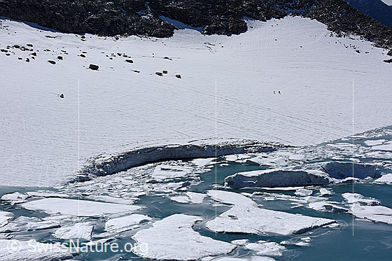 Foto: Chüebodengletscher: Abbruchstelle, Eisschollen und kleine Eisberge. 
Auf dem Foto ist die Stelle zu sehen, an welcher im Sommer Jahr 2020 (wahrscheinlich unterspültes) Eis vom Chüebodengletscher abgebrochen ist. Das abgebrochene Eis schwimmt in Form von Eisschollen und kleinen Eisbergen auf dem Gletschersee (Proglazialer See).