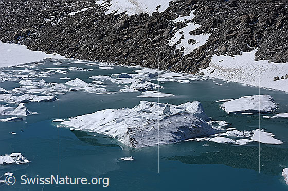 Foto: Chüebodengletscher: Eisschollen und kleine Eisberge auf dem Gletschersee.
Die Eisschollen und Eisberge stammen von unterspültem Eis, welches vom Chüebodengletscher abgebrochen ist.
