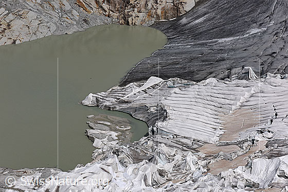 Foto: Gletscherabdeckungen Rhonegletscher (Stand 7.2021). Ansicht von oben.

