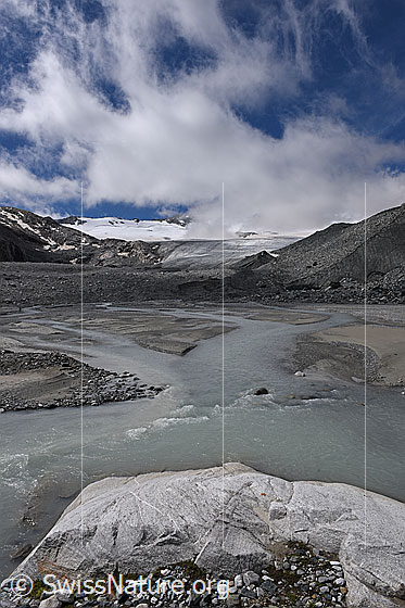 Foto: Tagesgang Schmelzwasser Schwarzberggletscher am 6.8.2021 um 11:15 Uhr.