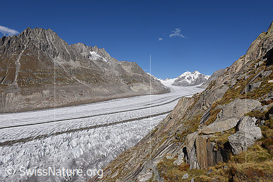 Foto: Grosser Aletschgletscher von Platta (Stand 9.2022). Blick Richtung Konkordiaplatz und Jungfraujoch.