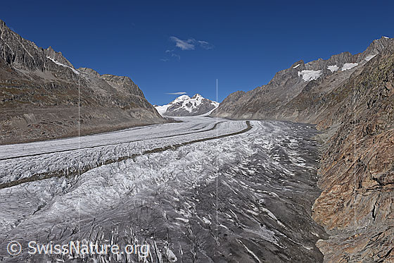Foto: Grosser Aletschgletscher vom Fuss des Eggishorns (Stand 9.2022). Blick Richtung Konkordiaplatz und Jungfraujoch.