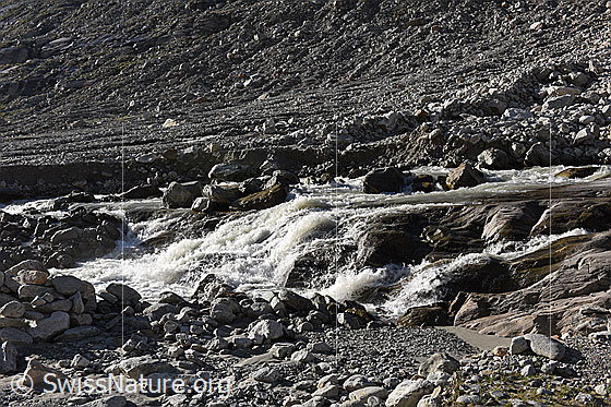 Foto: Tagesgang Schmelzwasser Oberaargletscher am 5.8.2024 um 8:15 Uhr.