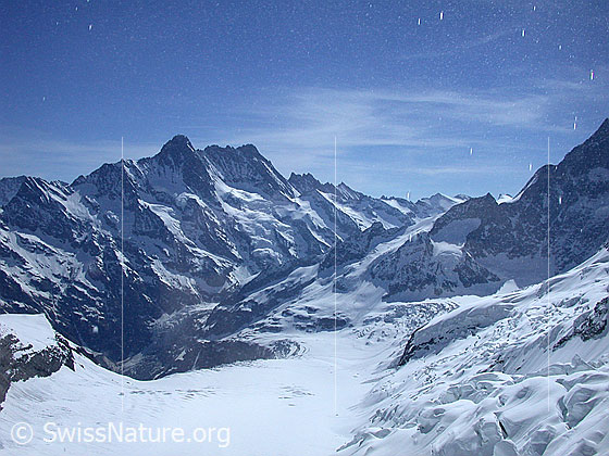Foto: Blick von der Station Eismeer auf den Fieschergletscher.
Im Hintergrund Schreckhorn und Lauteraarhorn..