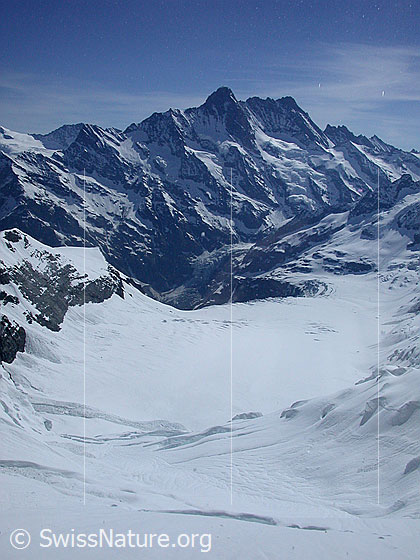 Foto: Blick von der Station Eismeer auf den Fieschergletscher.
Im Hintergrund Schreckhorn und Lauteraarhorn..