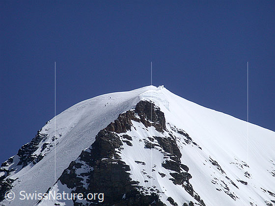 Foto: Blick vom Jungfraujoch zum Mönch. 
Im Eisfeld oberhalb des Nollen ist eine Seilschaft zu sehen.