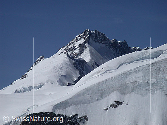 Foto: Blick vom Jungfraujoch zum Gletscherhorn. Im Voredergund der Sporn, über welchen die Normalroute zur Jungfrau verläuft.